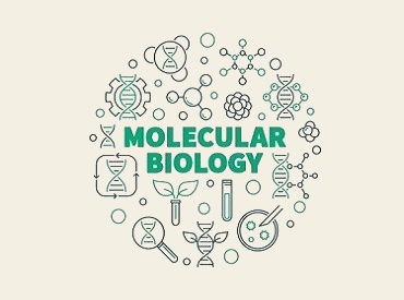 Molecular Cell Biology Products